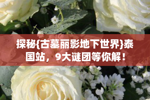 古墓丽影地下世界图片