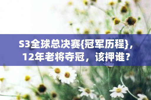 S3全球总决赛图片