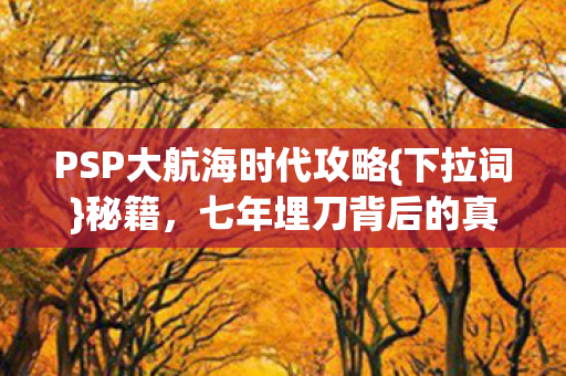 PSP大航海时代攻略图片