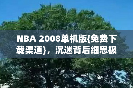 NBA 2008单机版图片