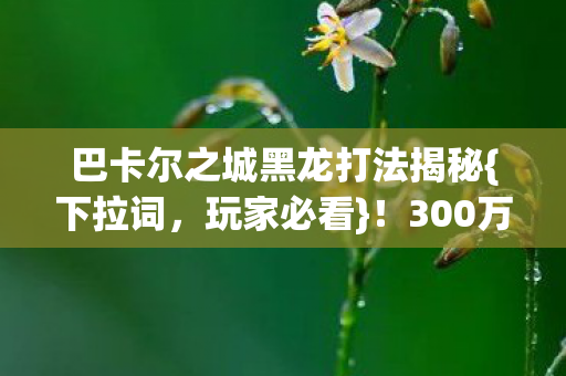 巴卡尔之城黑龙打法揭秘图片