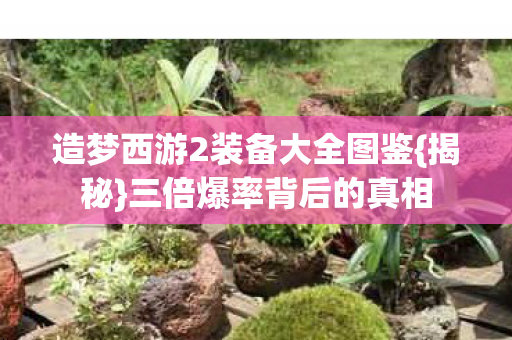 造梦西游2装备大全图鉴图片