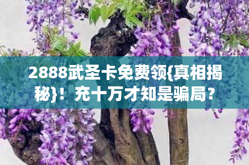 2888武圣卡免费领图片