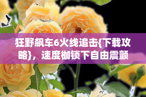 狂野飙车6火线追击图片
