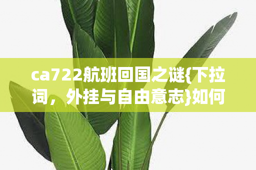 ca722航班回国之谜图片