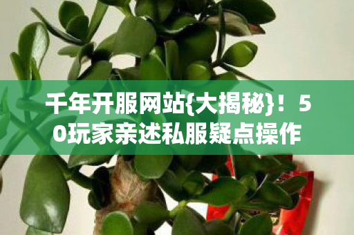 50玩家亲述私服疑点操作图片