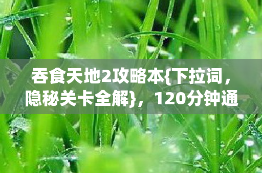 吞食天地2攻略本{下拉词，隐秘关卡全解}，120分钟通关青春回忆