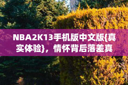 NBA2K13手机版中文版{真实体验},情怀背后落差真相 NBA2K13手机版中文版{真实体验},情怀背后落差真相