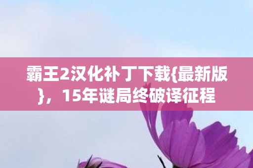 霸王2汉化补丁下载{最新版},15年谜局终破译征程 霸王2汉化补丁下载{最新版},15年谜局终破译征程