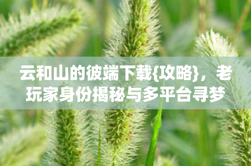 云和山的彼端下载{攻略},老玩家身份揭秘与多平台寻梦 云和山的彼端下载{攻略},老玩家身份揭秘与多平台寻梦