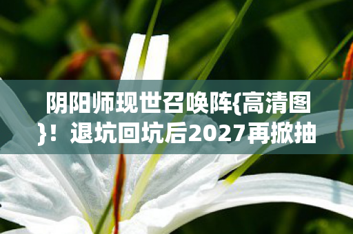 阴阳师现世召唤阵{高清图}！退坑回坑后2027再掀抽卡热