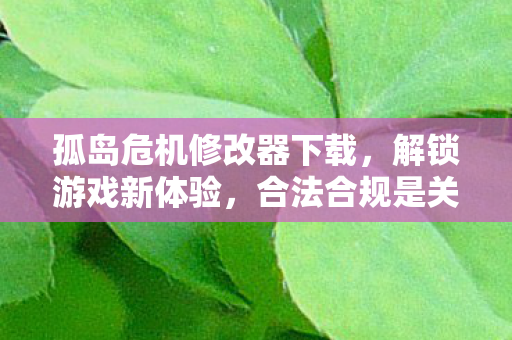 孤岛危机修改器下载图片