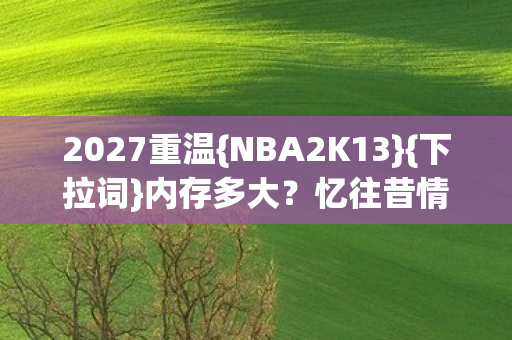 NBA2K13图片