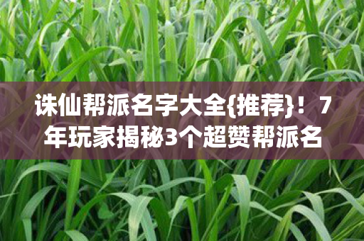 7年玩家揭秘3个超赞帮派名图片