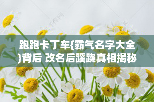跑跑卡丁车{霸气名字大全}背后 改名后蹊跷真相揭秘