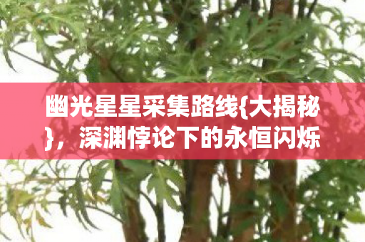 幽光星星采集路线{大揭秘},深渊悖论下的永恒闪烁 幽光星星采集路线{大揭秘},深渊悖论下的永恒闪烁