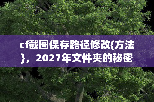cf截图保存路径修改{方法}，2027年文件夹的秘密