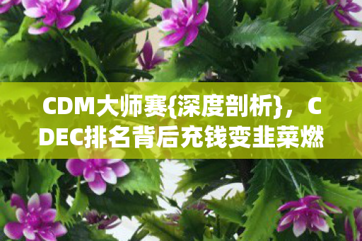 CDEC排名背后充钱变韭菜燃料图片