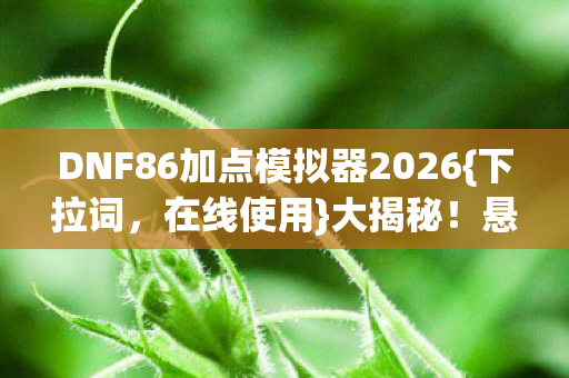 DNF86加点模拟器2026图片