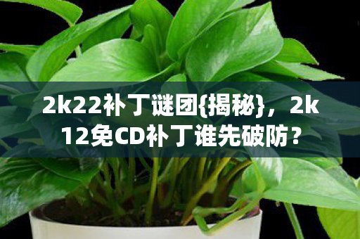 2k12免CD补丁谁先破防图片