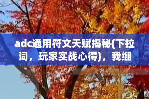 adc通用符文天赋揭秘图片