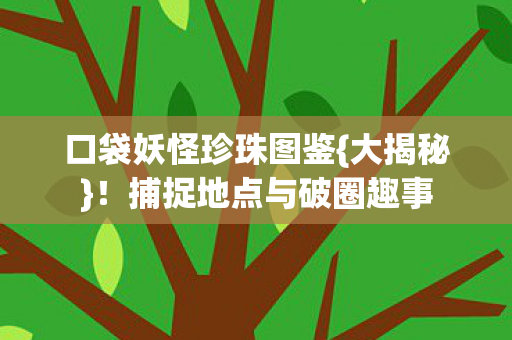 捕捉地点与破圈趣事图片