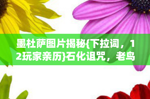 墨杜萨图片揭秘图片