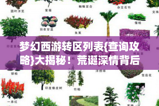 荒诞深情背后的真相图片