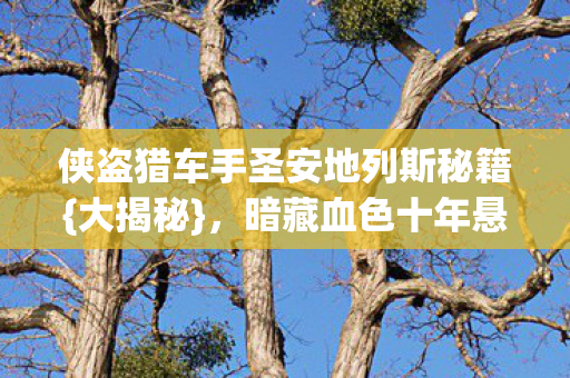 侠盗猎车手圣安地列斯秘籍{大揭秘},暗藏血色十年悬案困局 侠盗猎车手圣安地列斯秘籍{大揭秘},暗藏血色十年悬案困局