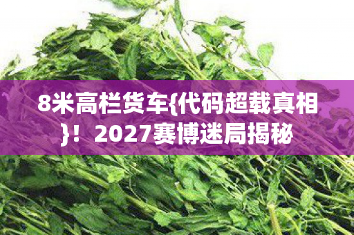2027赛博迷局揭秘图片