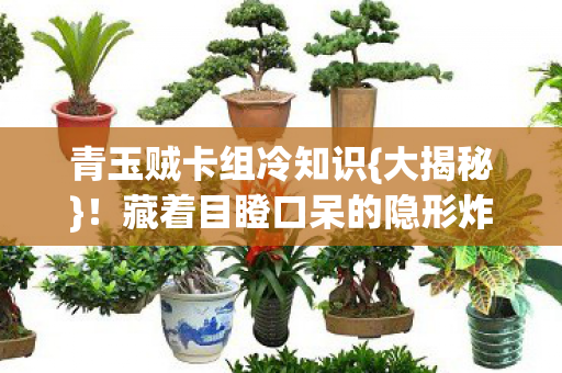 藏着目瞪口呆的隐形炸弹图片