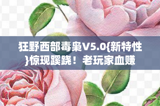 狂野西部毒枭V5图片