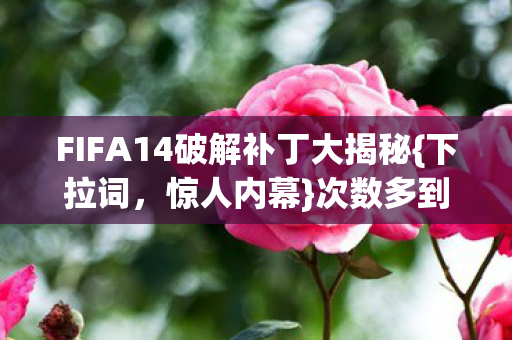 FIFA14破解补丁大揭秘{下拉词,惊人内幕}次数多到惊人 FIFA14破解补丁大揭秘{下拉词,惊人内幕}次数多到惊人