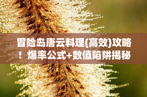 冒险岛唐云料理{高效}攻略!爆率公式+数值陷阱揭秘 冒险岛唐云料理{高效}攻略!爆率公式+数值陷阱揭秘