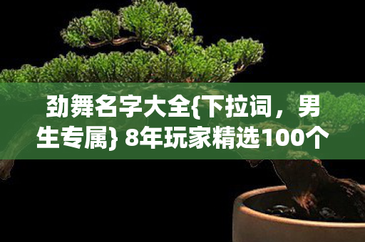 劲舞名字大全{下拉词，男生专属} 8年玩家精选100个名字
