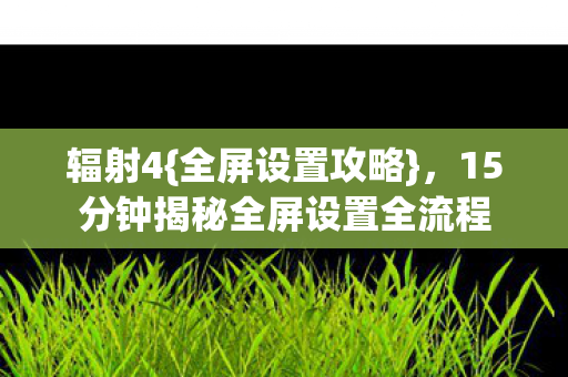15分钟揭秘全屏设置全流程图片