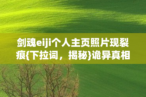 剑魂eiji个人主页照片现裂痕{下拉词,揭秘}诡异真相 剑魂eiji个人主页照片现裂痕{下拉词,揭秘}诡异真相