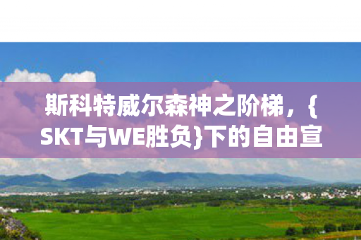 斯科特威尔森神之阶梯，{SKT与WE胜负}下的自由宣言
