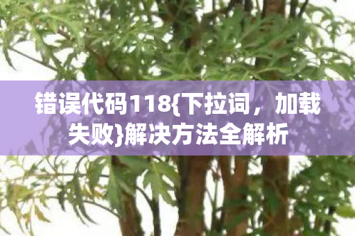 错误代码118图片
