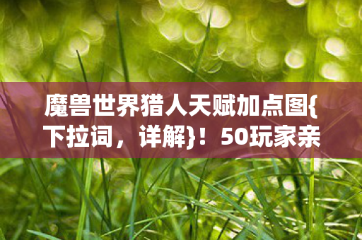 魔兽世界猎人天赋加点图图片