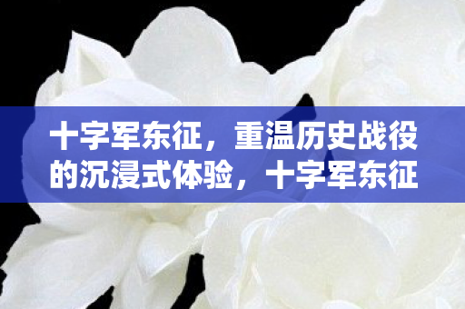 重温历史战役的沉浸式体验图片