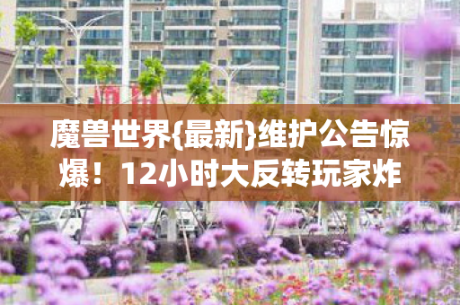 12小时大反转玩家炸锅图片