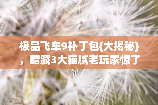 暗藏3大猫腻老玩家惊了图片