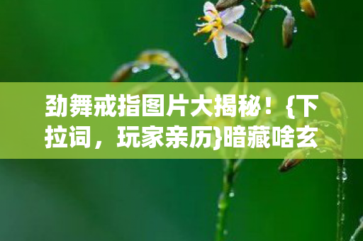 劲舞戒指图片大揭秘图片