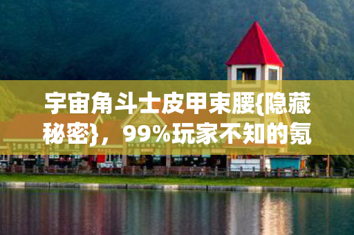宇宙角斗士皮甲束腰图片