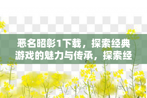 探索经典游戏的魅力与传承图片