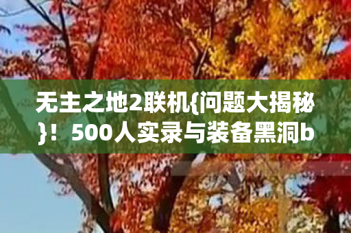 500人实录与装备黑洞bug图片