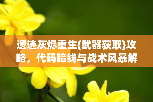 代码暗线与战术风暴解析图片
