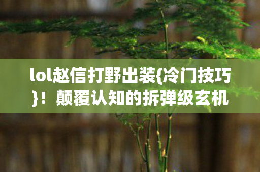 颠覆认知的拆弹级玄机图片