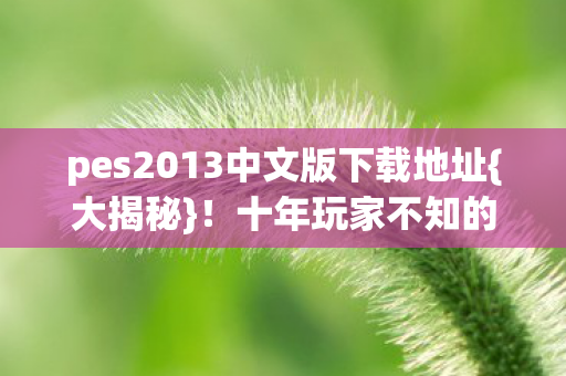 pes2013中文版下载地址图片